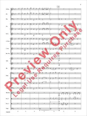 Fury of the Storm - Minder-Maldonado - Concert Band - Gr. 2.5