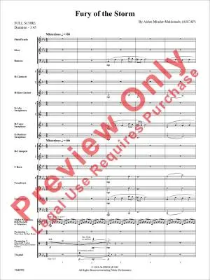 Fury of the Storm - Minder-Maldonado - Concert Band - Gr. 2.5