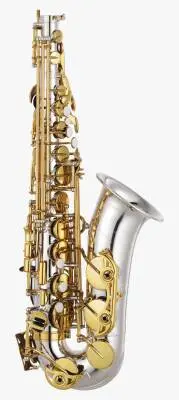 Eb Intermediate Alto Saxophone - Silver-Plated with Gold Keys