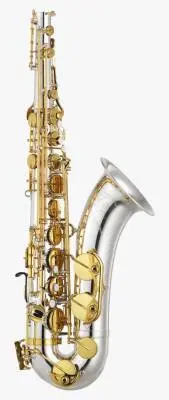 Bb Intermediate Tenor Saxophone - Silver-Plated with Gold Keys