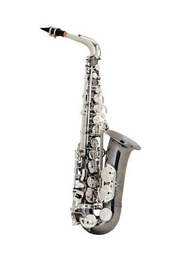 Intermediate Alto Sax w/Bam Case - Black Nickel