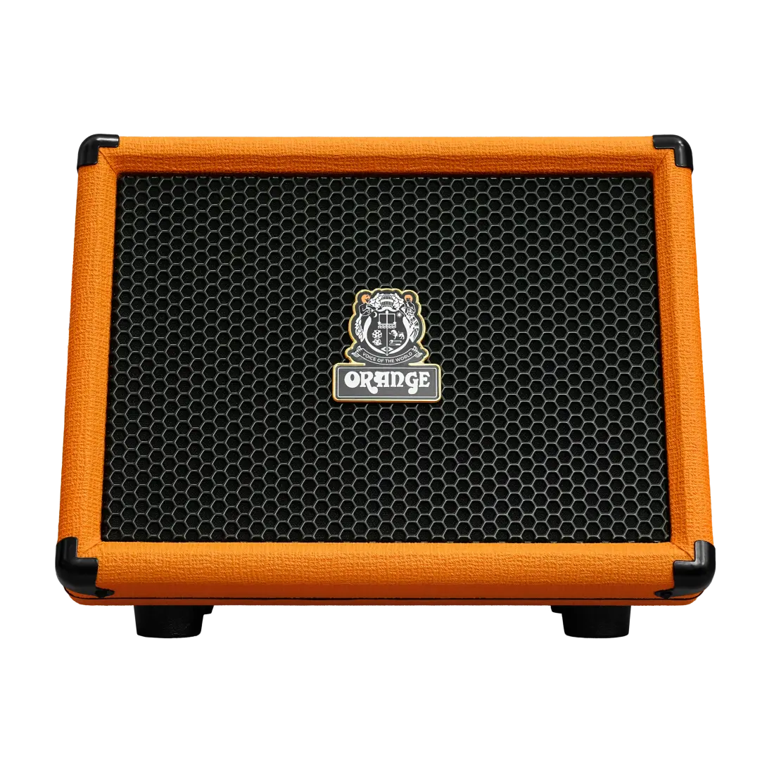ES60 60W Acoustic Busking Amp