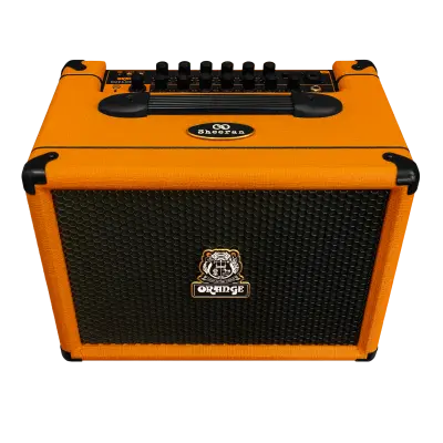 ES60 60W Acoustic Busking Amp