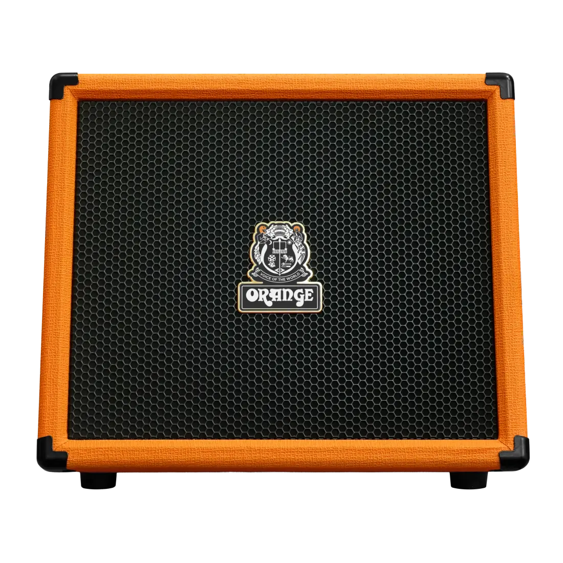 ES100 100W Acoustic Amp