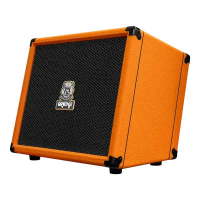 ES100 100W Acoustic Amp