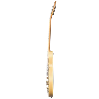 Casino Electric Guitar with Gigbag - Natural
