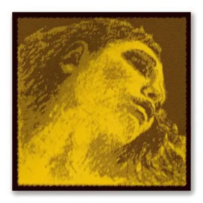 Pirastro - Evah Pirazzi Gold Violin Single D String