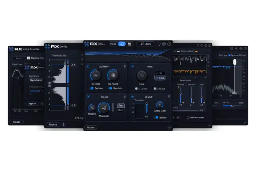 iZotope - RX 12 Elements - Download