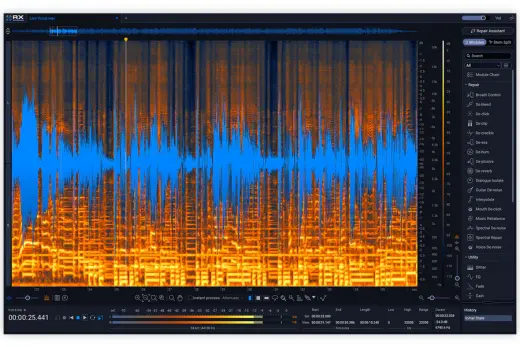 iZotope - RX 12 Standard - Download