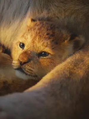 The Lion King (2019) - John/Rice/Zimmer - Easy Piano - Book
