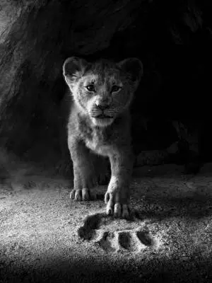 The Lion King (2019) - John/Rice/Zimmer - Piano - Book