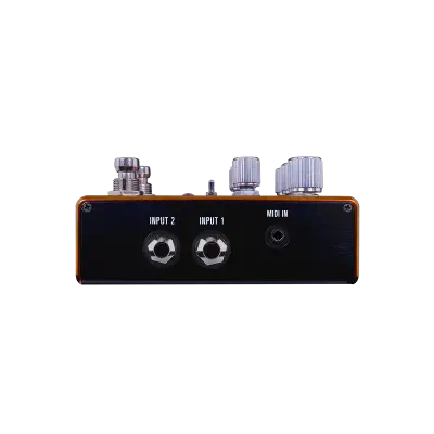 Pathways Tremolo and Reverb Pedal