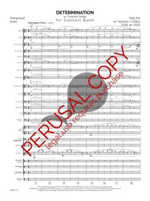 Determination (an Undertale Medley) - Fox/Collins - Concert Band