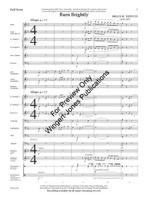 Burn Brightly - Tippette - Concert Band - Gr. 2