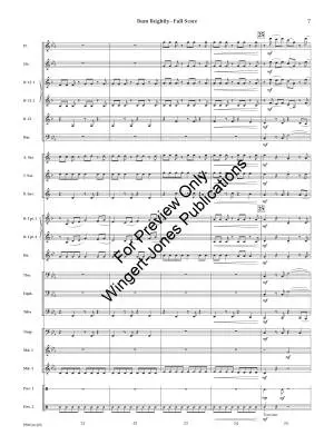 Burn Brightly - Tippette - Concert Band - Gr. 2