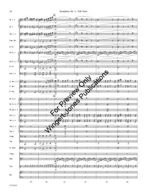 Symphony No. 1 (First Movement) - Kalinnikov/Bourgeois - Concert Band - Gr. 5