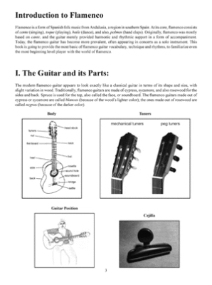 First Lessons: Flamenco Guitar- Vardanyan - Book/Audio Online