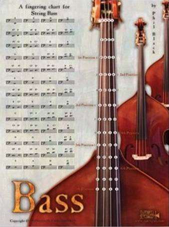 Fingering Chart (11\'\' X 17\'\') - String Bass