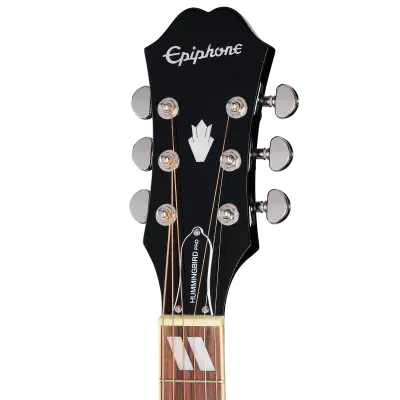 Hummingbird Pro Acoustic/Electric Guitar - Ebony