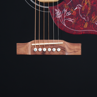 Epiphone Hummingbird Pro Acoustic/Electric Guitar - Ebony