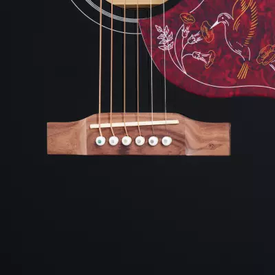 Hummingbird Pro Acoustic/Electric Guitar - Ebony