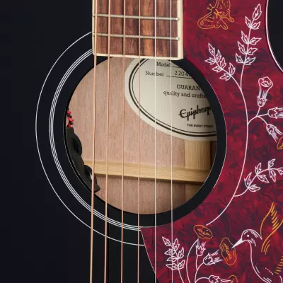 Hummingbird Pro Acoustic/Electric Guitar - Ebony