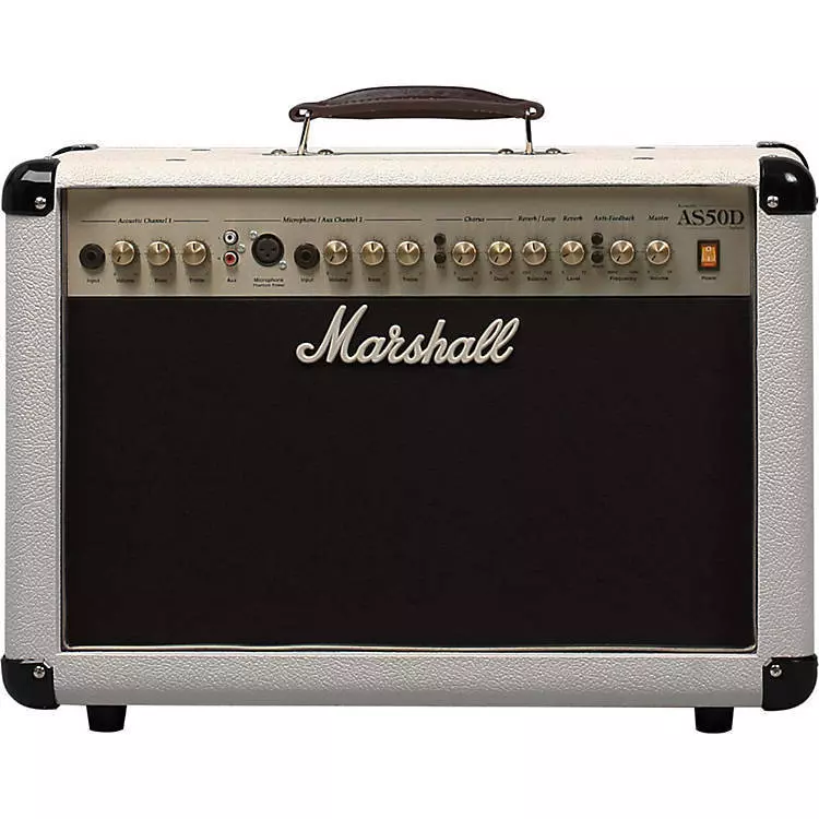 2 Channel Acoustic Amp