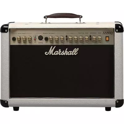 2 Channel Acoustic Amp