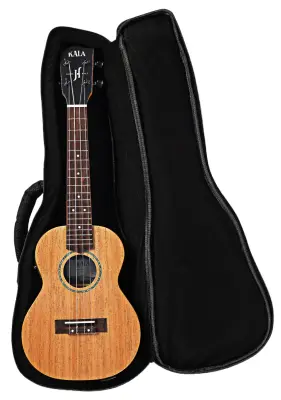 James Hill Signature All Solid Mahogany Concert Ukulele with EQ