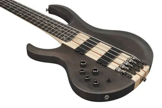 BTB Standard 5-String Electric Bass - Transparent Gray Flat (Left Handed)