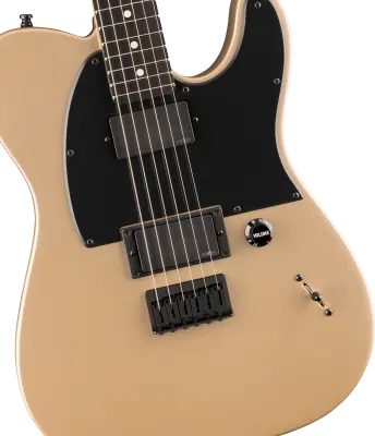 Limited Edition Jim Root Telecaster, Ebony Fingerboard - Shoreline Gold