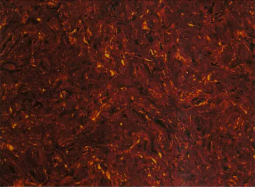 WD Music - Acoustic Pickguard Material Blank - Tortoise