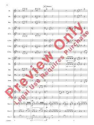 Into the Blizzard - Sims - Concert Band - Gr. 1.5