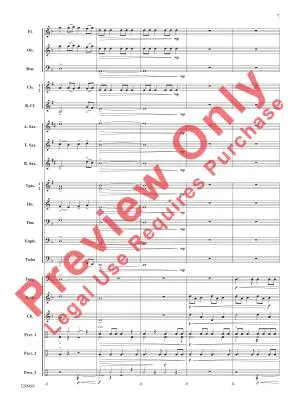 Into the Blizzard - Sims - Concert Band - Gr. 1.5