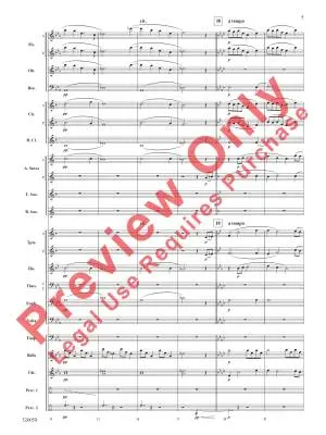 Under the Northern Stars - Austin - Concert Band - Gr. 3