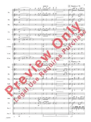 Under the Northern Stars - Austin - Concert Band - Gr. 3
