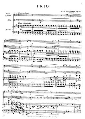 Trio in G Minor, Op. 63 - Weber - Piano Trio