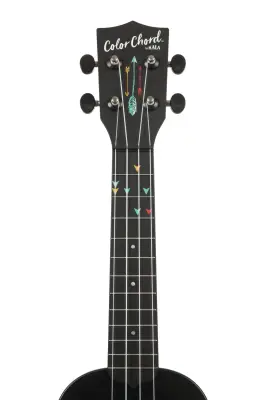 Learn to Play Recycled Color Chord Ukulele Starter Kit
