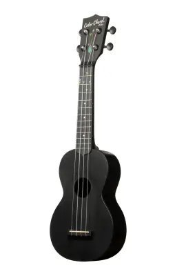 Learn to Play Recycled Color Chord Ukulele Starter Kit