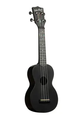 Learn to Play Recycled Color Chord Ukulele Starter Kit