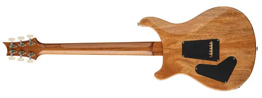 Custom 24 Birds of a Feather Limited Edition Electric Guitar with Hardshell Case - Charocal Microburst