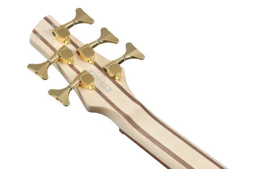 SR Standard 5-String Electric Bass - Frozen Gold Matte