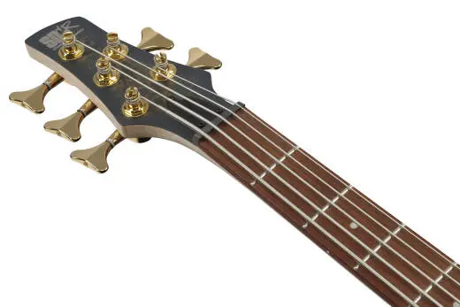SR Standard 5-String Electric Bass - Frozen Gold Matte