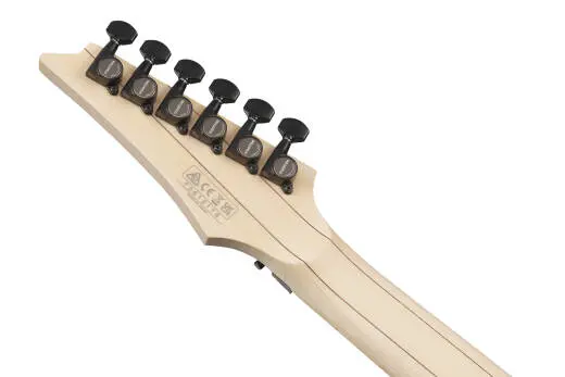 RG Genesis Collection 6-String Electric Guitar - Gray Metallic Flat