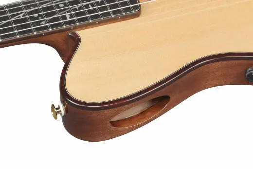 TOD100 Nylon String Acoustic/Electric Guitar with Gigbag - Natural High Gloss