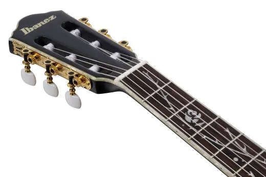 Tim Henson Signature Nylon Guitar - Black Burst Fade