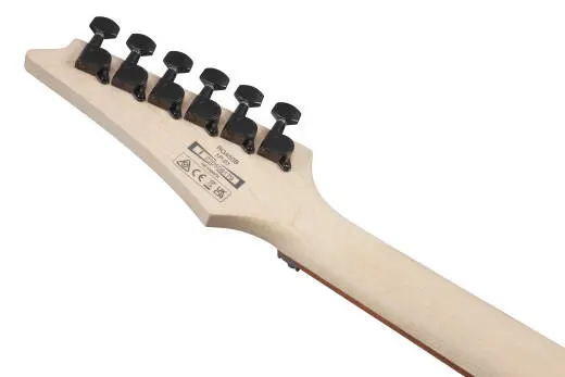 RG450B Electric Guitar - Weathered Black