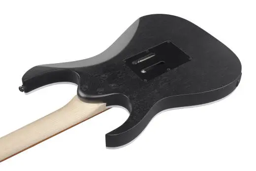RG450B Electric Guitar - Weathered Black