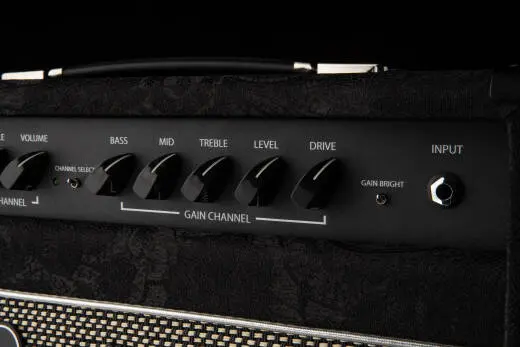 Sonzera 20 20-Watt 1x12 Combo Amplifier - Limited Edition Black Paisley