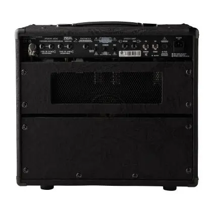 Sonzera 20 20-Watt 1x12 Combo Amplifier - Limited Edition Black Paisley